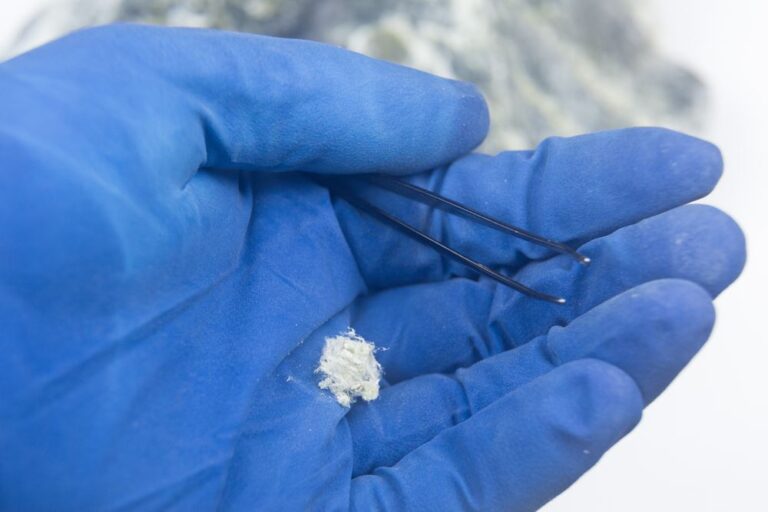 A blue-gloved hand holding a small white fibrous sample and a pair of black tweezers. The background is blurred, showing a rocky surface.